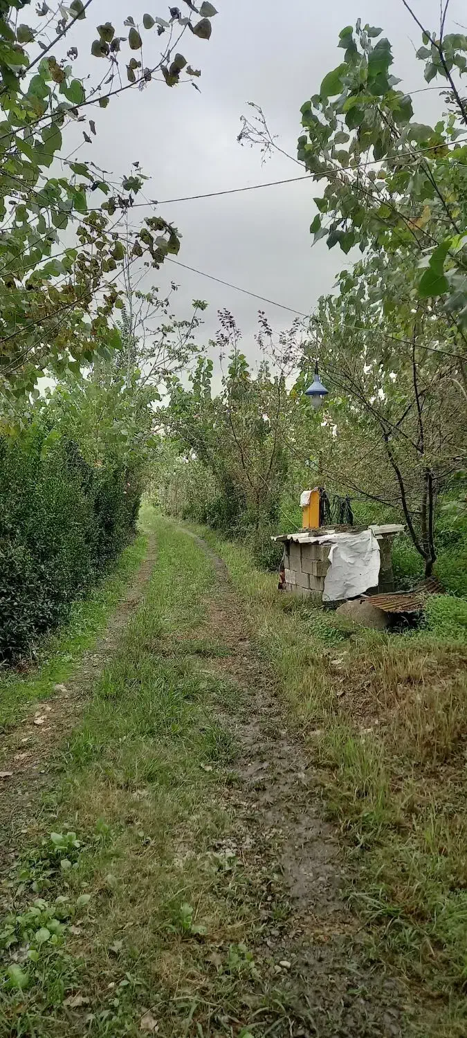 ویلا باغ،آلاچیق،کلبه چوبی|اجارهٔ کوتاهمدت ویلا و باغ|رشت, کوی امام رضا|دیوار