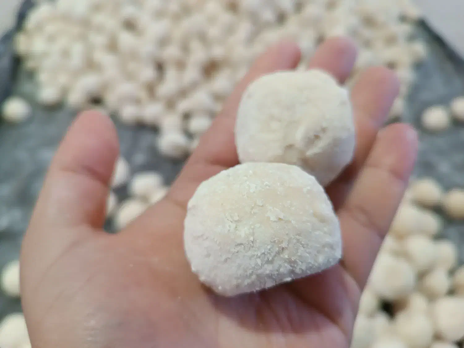 کشک و ترف|خوردنی و آشامیدنی|کرمان, |دیوار