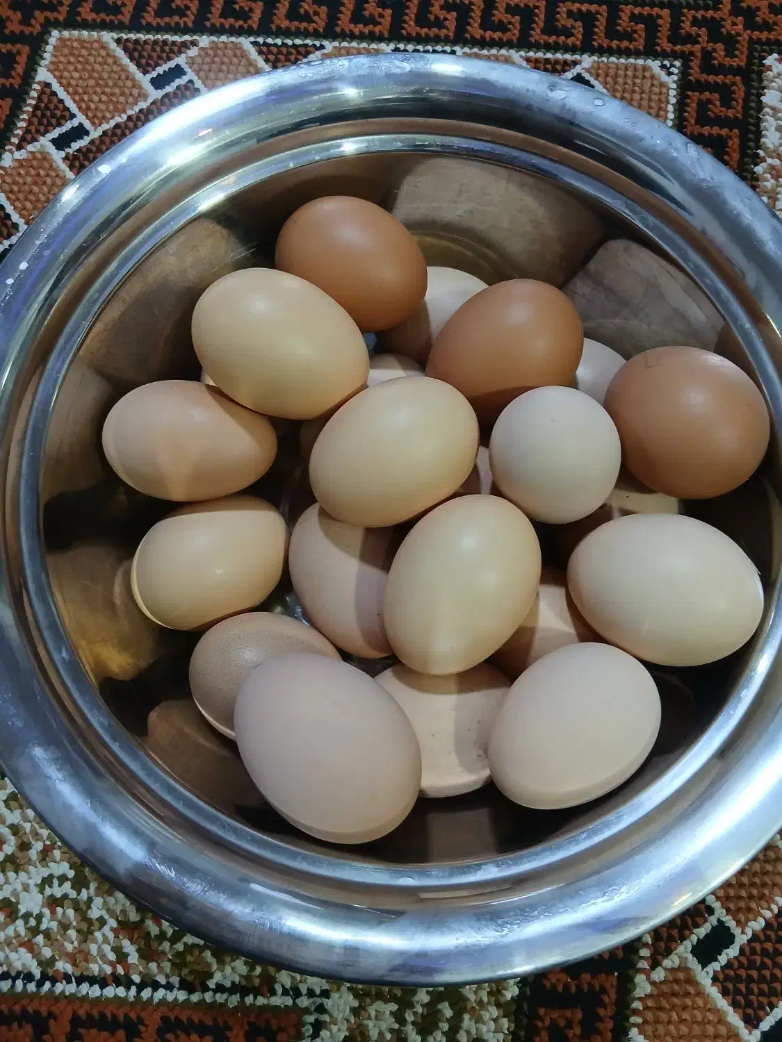 تخم مرغ بومی تازه|خوردنی و آشامیدنی|نجف‌آباد, شهید بهشتی|دیوار