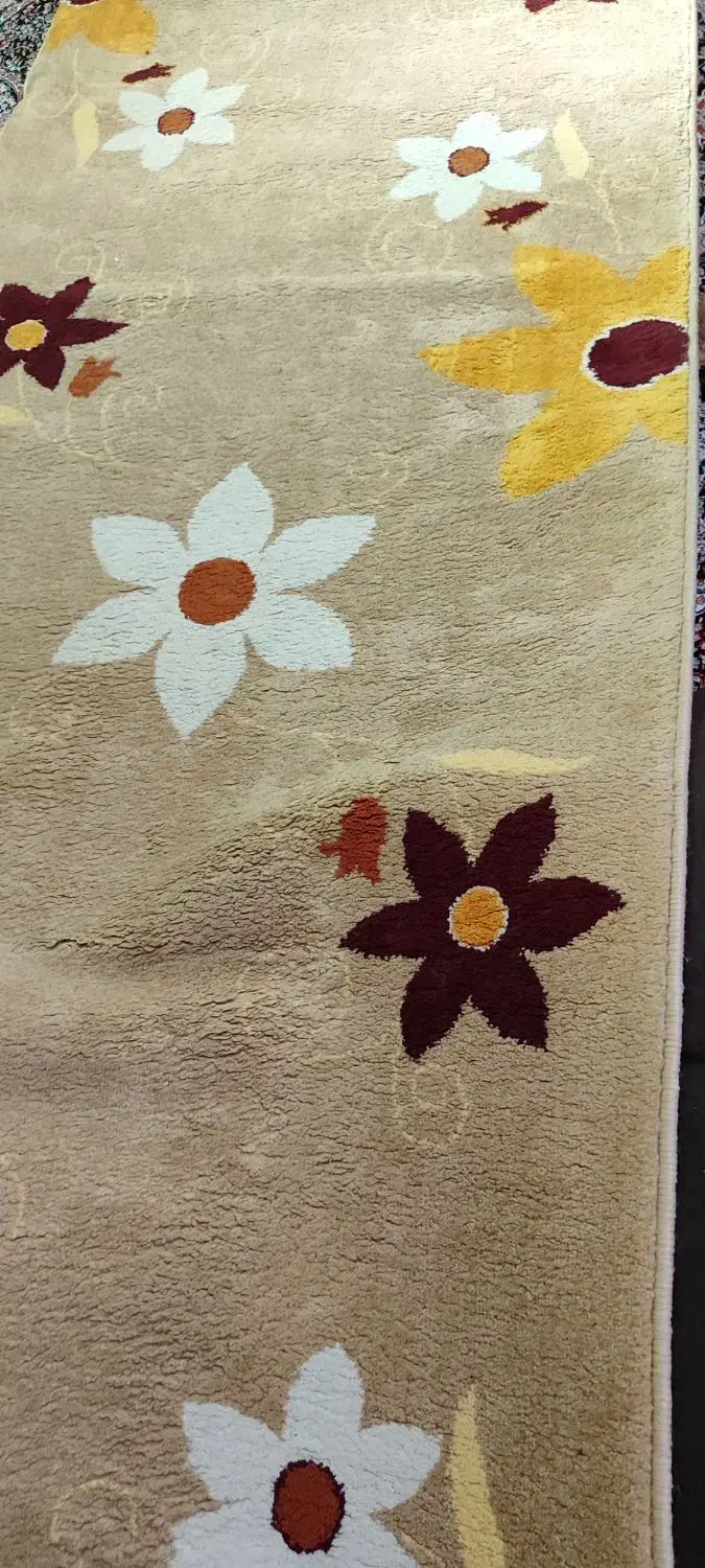 فرش راهرویی دو عدد 4در1 و 5در1|پادری|اهواز, زیتون کارمندی|دیوار