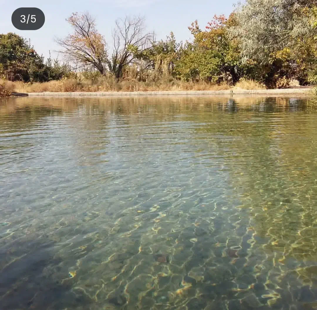 اجاره زمین کشاورزی|اجارهٔ دفتر صنعتی، کشاورزی، تجاری|گلپایگان, |دیوار