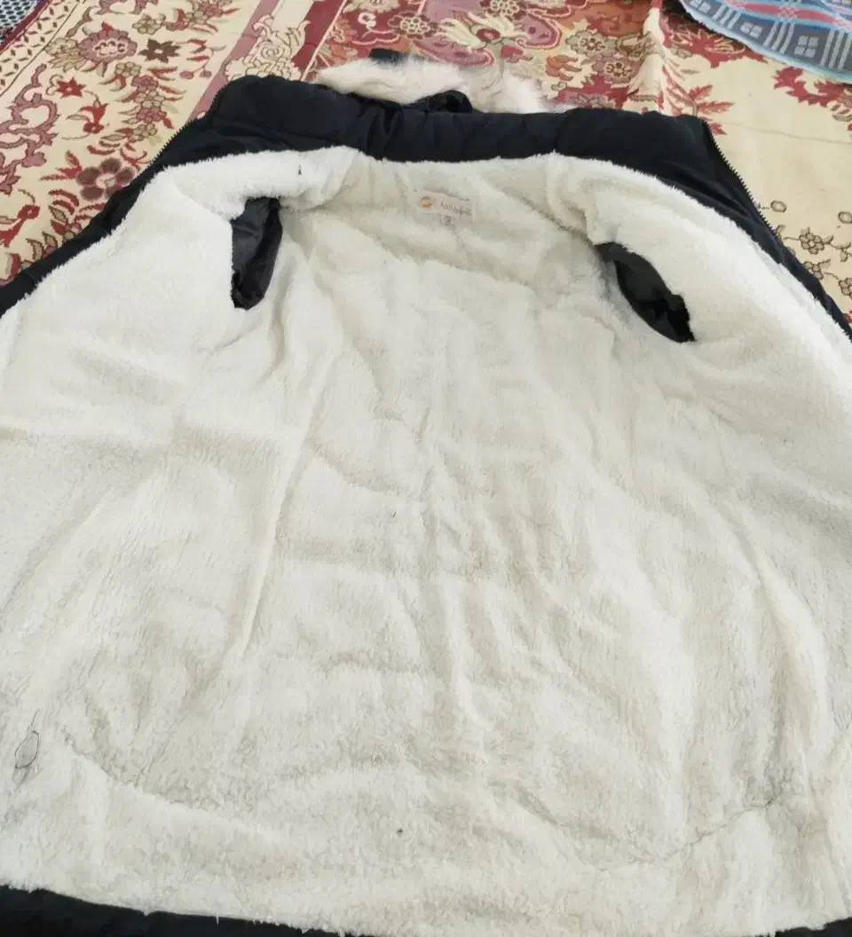 کاپشن دخترانه|لباس|زابل, |دیوار