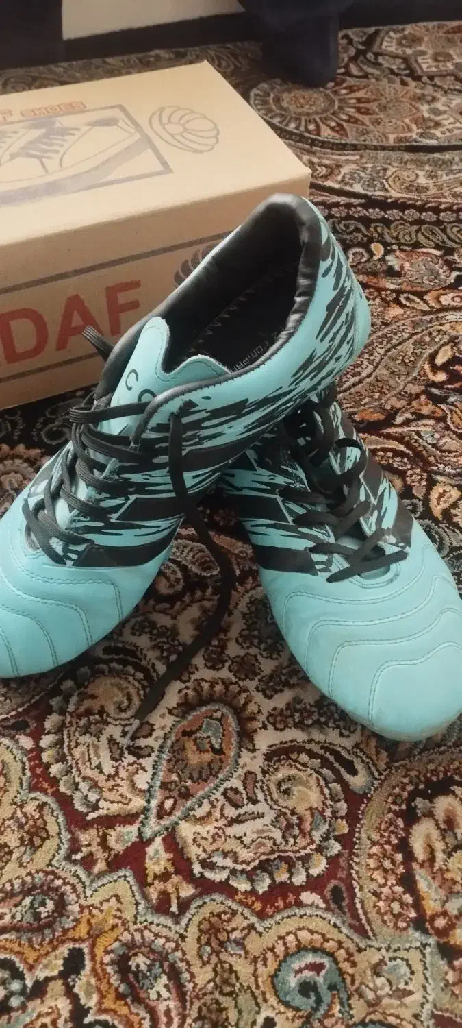 کفش چمن|کیف، کفش، کمربند|بیرجند, |دیوار