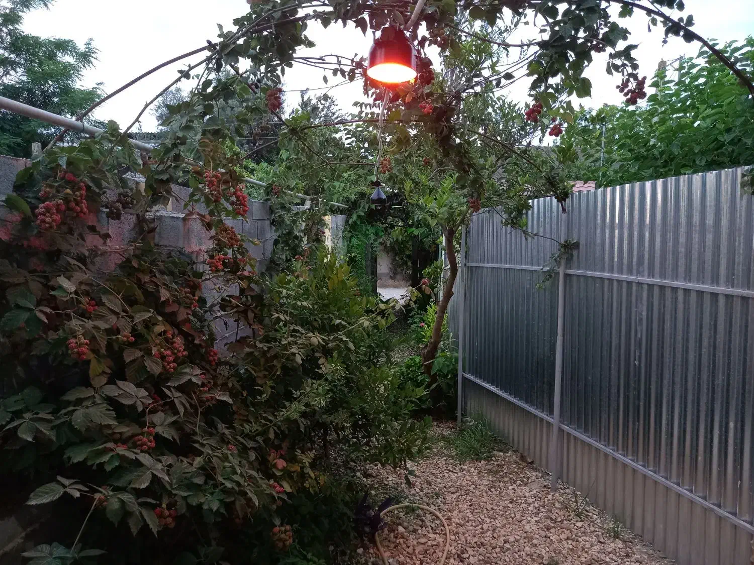 ااجاره سوییت دنج و دربست .جاده دریا ساری شهر آکند|اجارهٔ کوتاهمدت ویلا و باغ|آکند, |دیوار