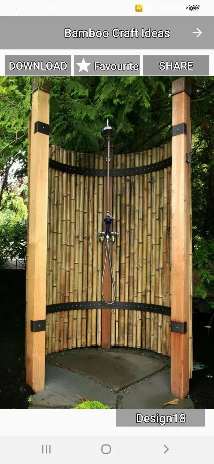 نی نیزار (بامبو)|گل و گیاه طبیعی|سرخرود, |دیوار