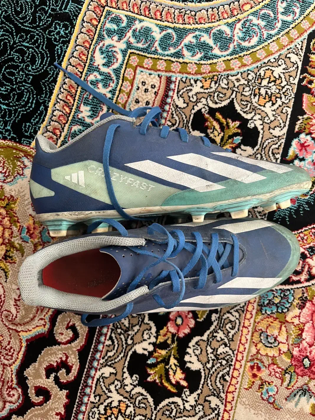 کفش فوتبال|کیف، کفش، کمربند|گنبد کاووس, |دیوار