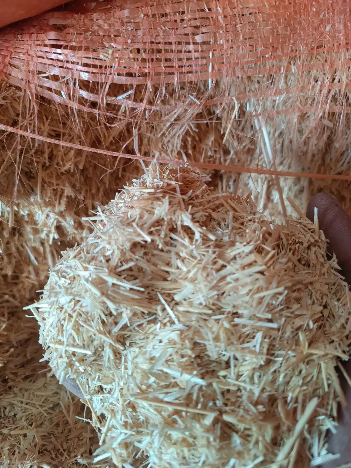 کاه نرم درجه یک کرمانشاه|خدمات باغبانی و درختکاری|سبزوار, قصبه غربی|دیوار