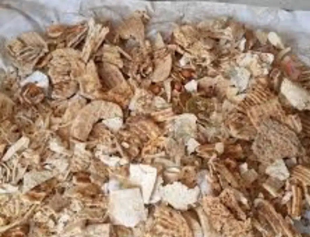 نان خشک تمیز سالم برای تغذیه طیور و پرندگان|لوازم جانبی حیوانات|آستارا, |دیوار