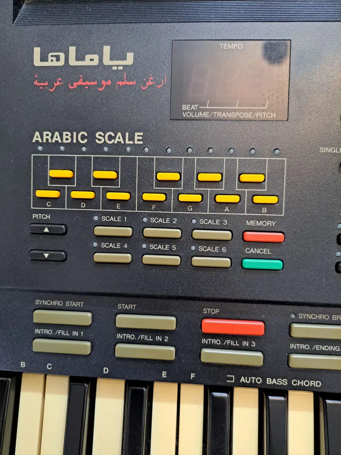 ارگ یاماها ۶۴|پیانو، کیبورد، آکاردئون|ری, دیلمان|دیوار