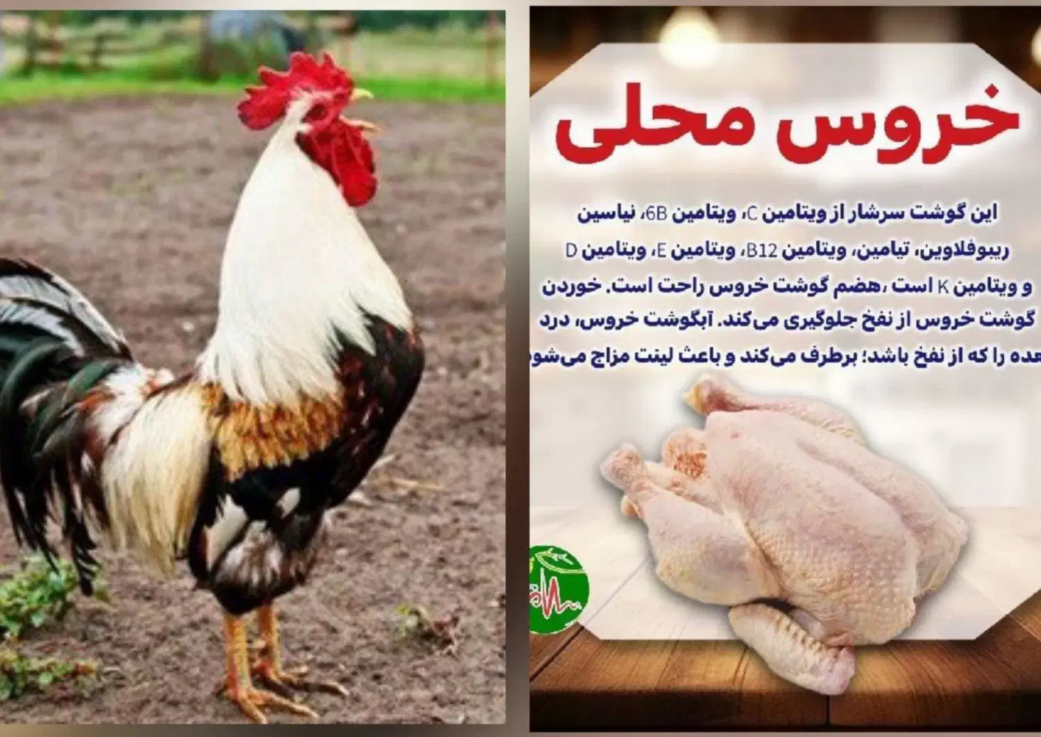 فروش خروش به صورت زنده وکشتار|حیوانات مزرعه|رودشت (اصفهان), |دیوار