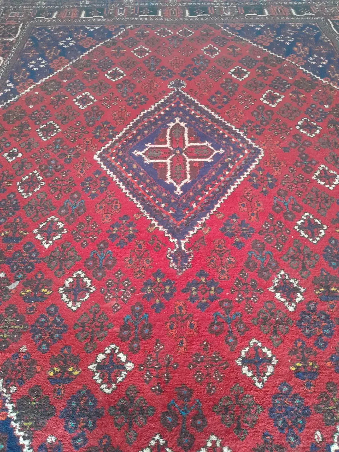 فرش ۱۲ متری دست بافت|فرش|اصفهان, باغ فدک|دیوار