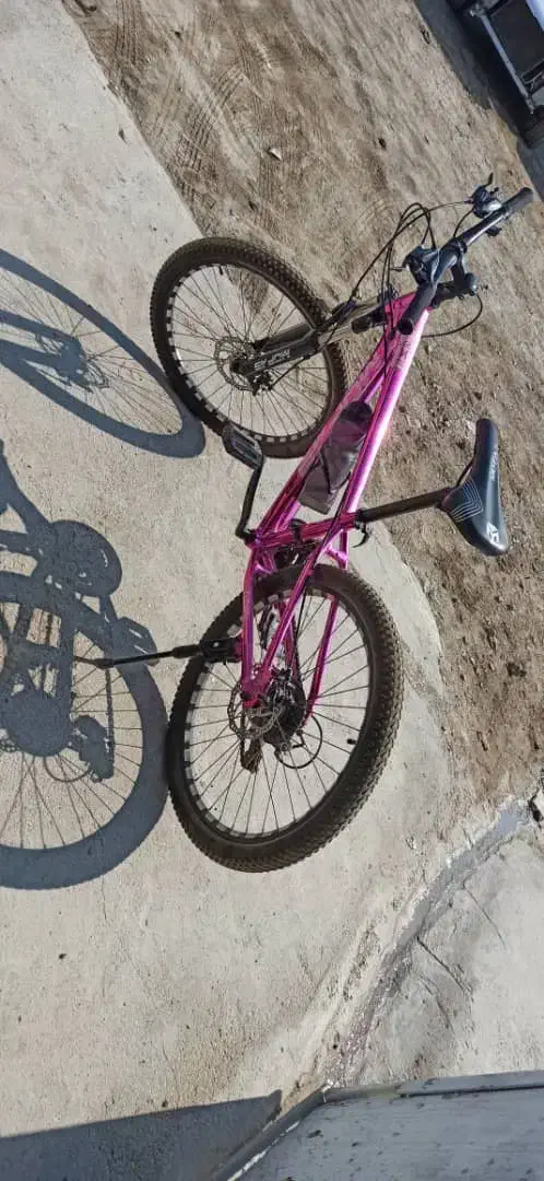 دوچرخه ۲۴|دوچرخه، اسکیت، اسکوتر|بوشهر, |دیوار