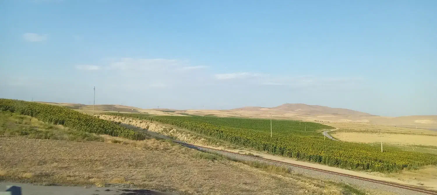 زمین کشاورزی|اجارهٔ دفتر صنعتی، کشاورزی، تجاری|محمدبار, |دیوار