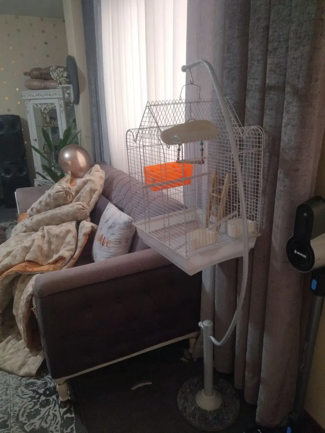 قفس|لوازم جانبی حیوانات|هشتگرد, شهرک بوستان|دیوار