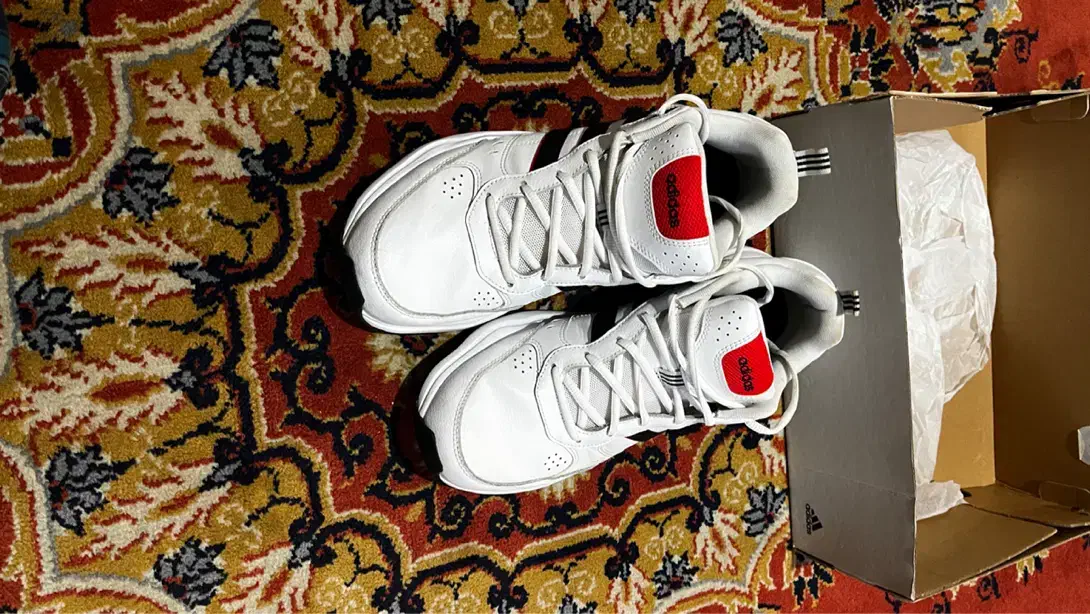 کتانی آدیداس|کیف، کفش، کمربند|رشت, انصاری|دیوار