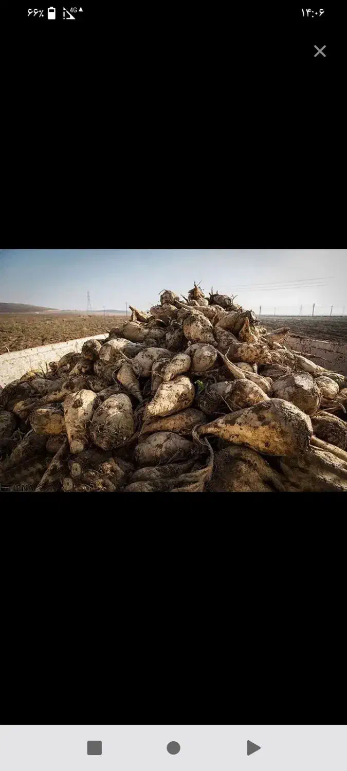 کابینت|عمدهفروشی|زاغه, |دیوار