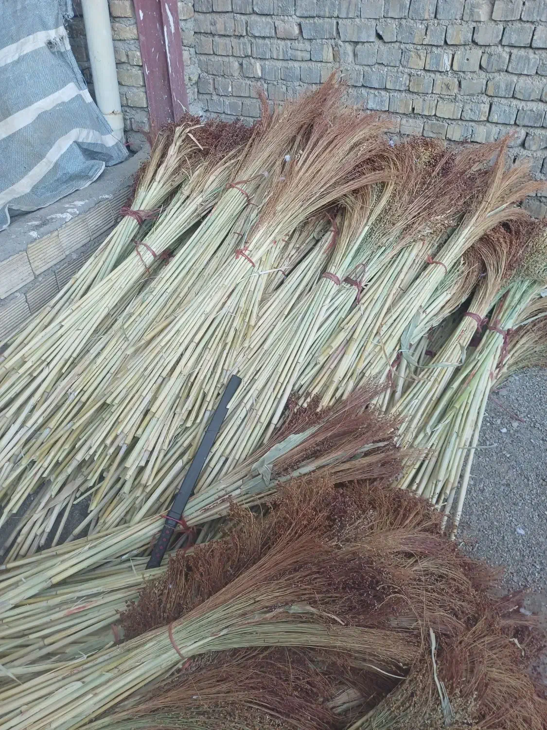 مقداری جارو به صورت دسته تمیز شده|لوازم نظافت|نهاوند, |دیوار