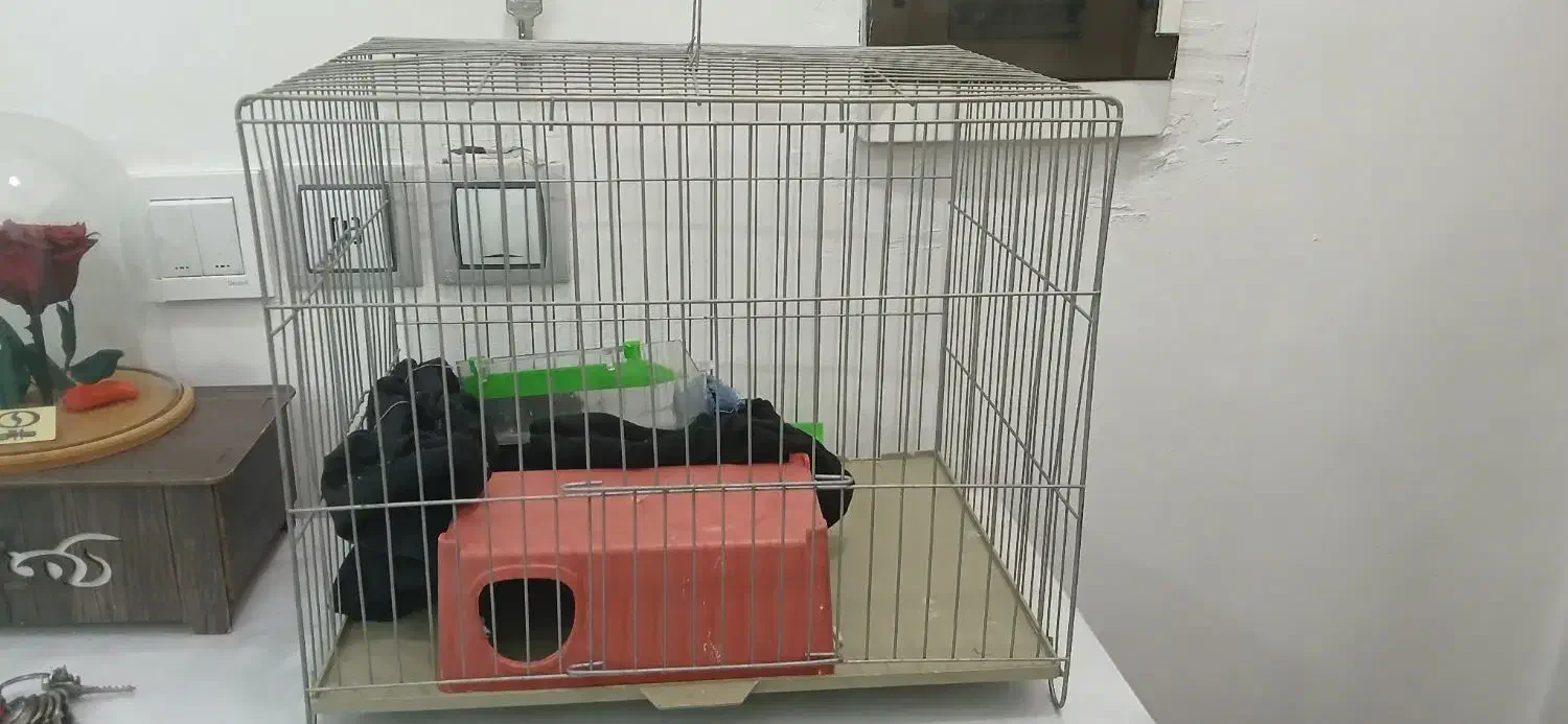 قفس پرنده|لوازم جانبی حیوانات|شاهدشهر, |دیوار