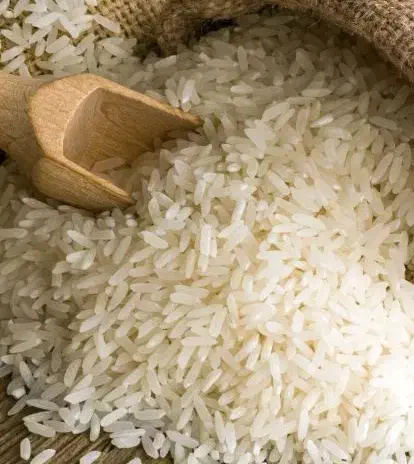 فروش برنج چمپا|خوردنی و آشامیدنی|فلارد, |دیوار