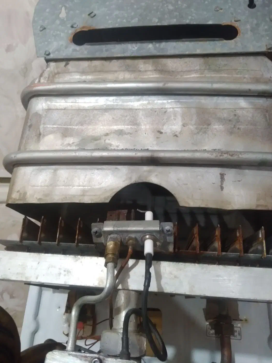 کمک کنین|گردهمایی و همایش|تبریز, |دیوار