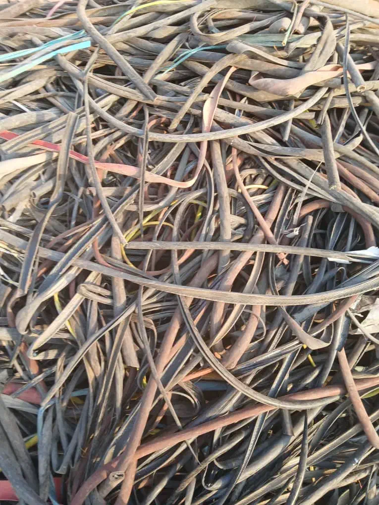 خریدارپوستهکابلوقلمبه|فعالیت داوطلبانه|کهریزک, |دیوار