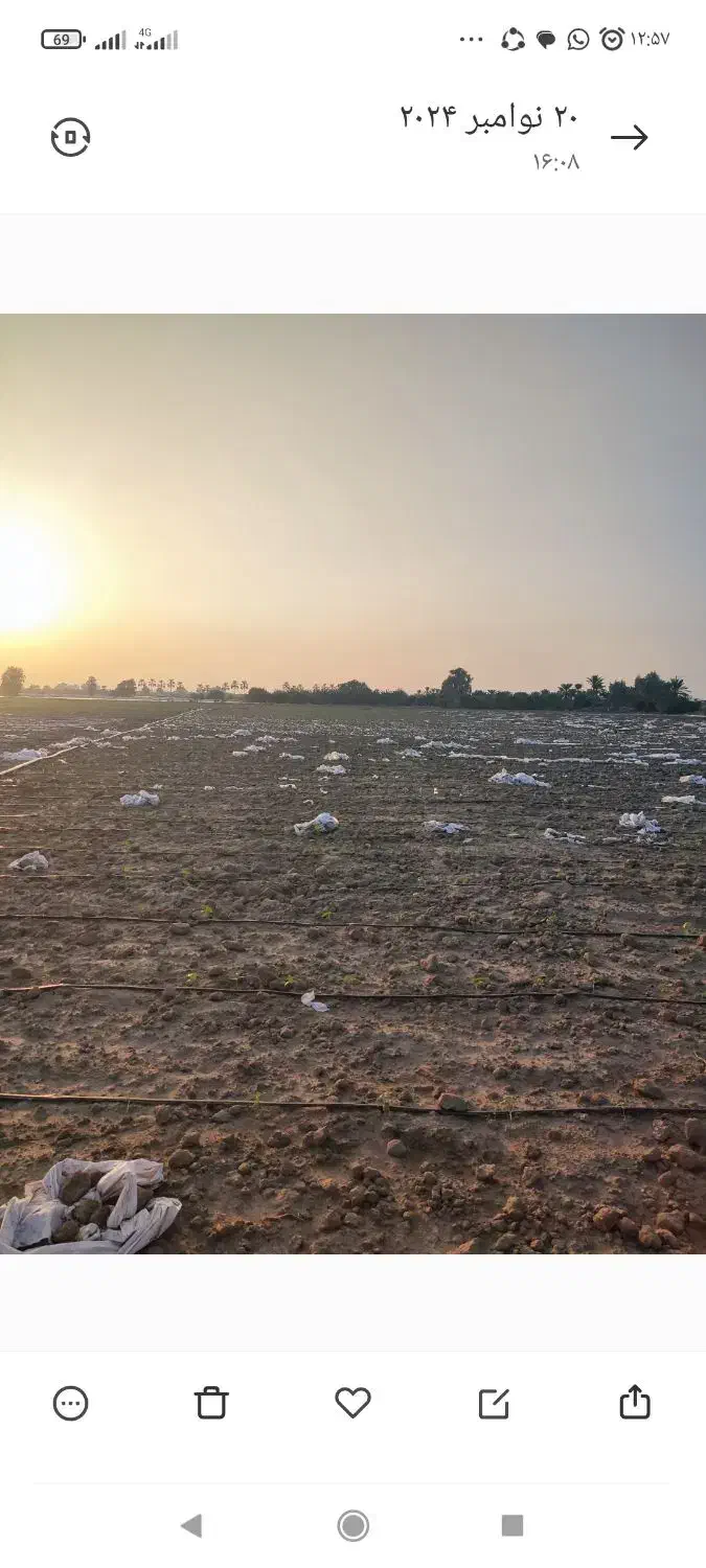 اجاره سه هکتار زمین کشاورزی با امتیاز آب چاه|اجارهٔ دفتر صنعتی، کشاورزی، تجاری|میناب, |دیوار