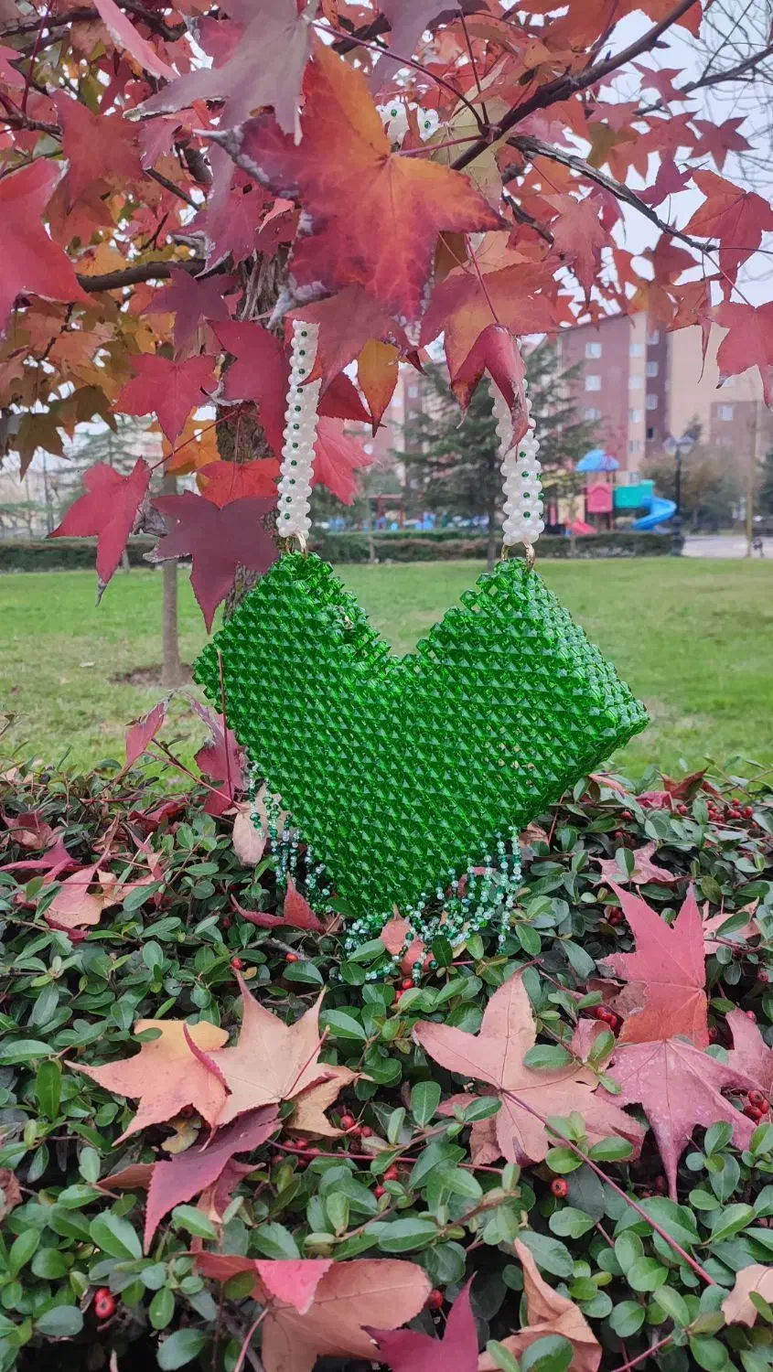 کیف|کیف، کفش، کمربند|رشت, کوی مهر|دیوار