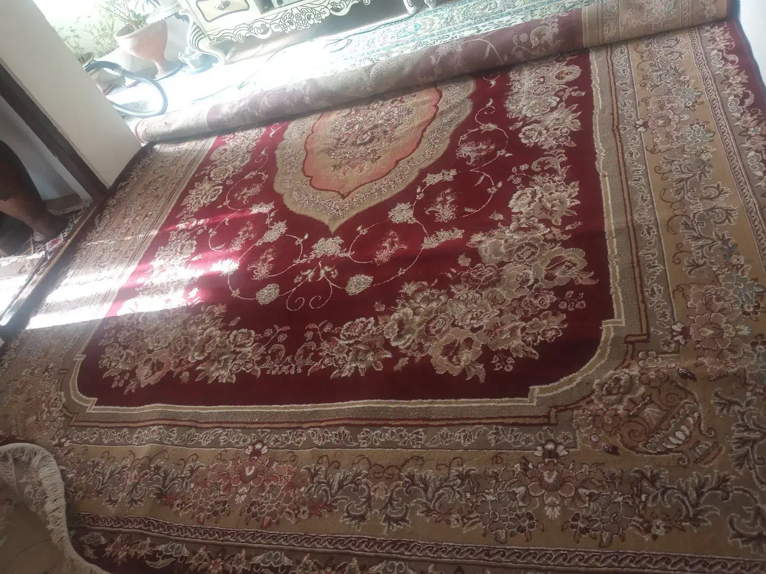 فرش 12متری|فرش|اردبیل, |دیوار