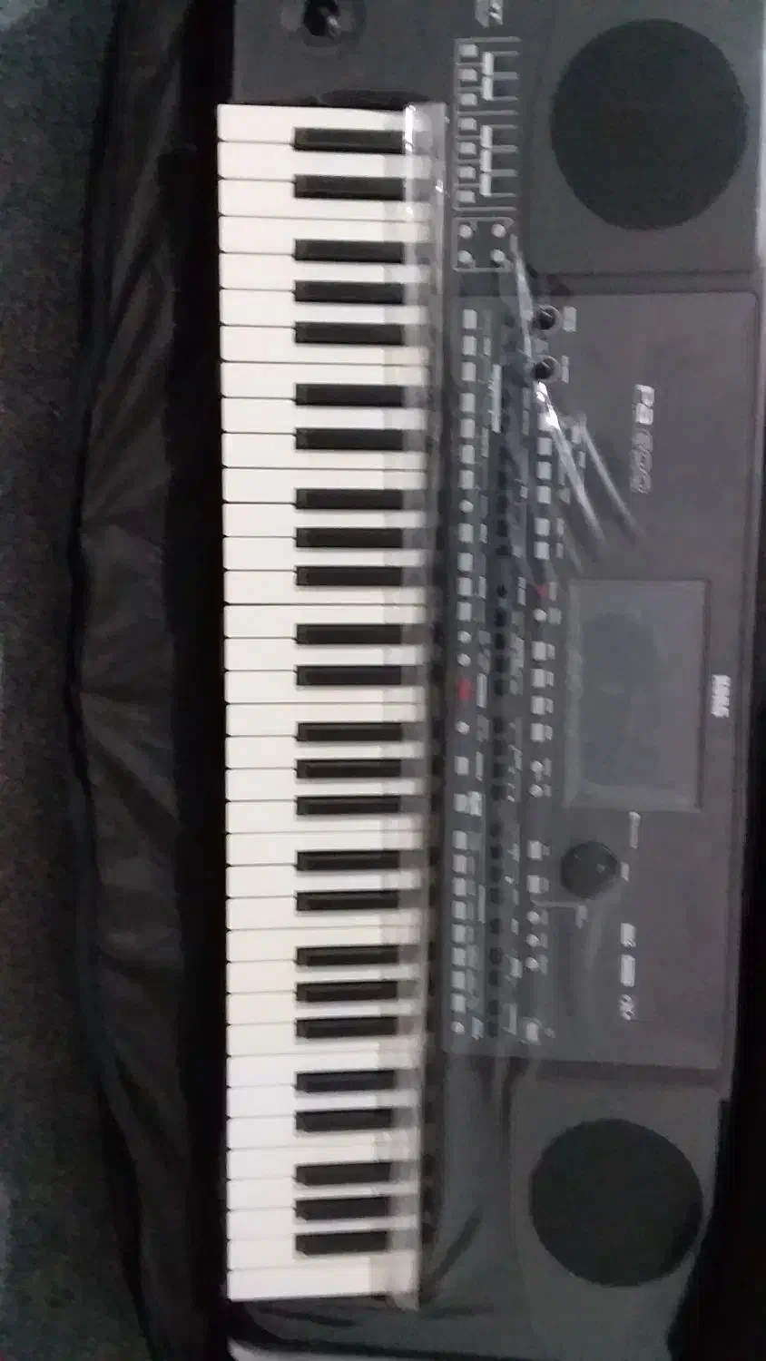 ارگ pa600 اورینتال|پیانو، کیبورد، آکاردئون|شیراز, حومه شیراز|دیوار