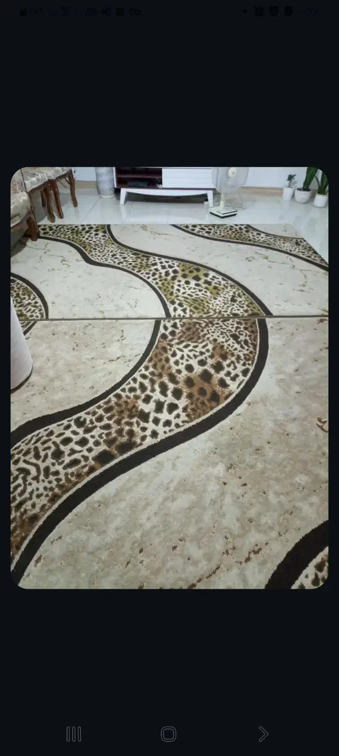 فرش فانتزی ۶متری دوعدد|فرش|رشت, نیکمرام|دیوار