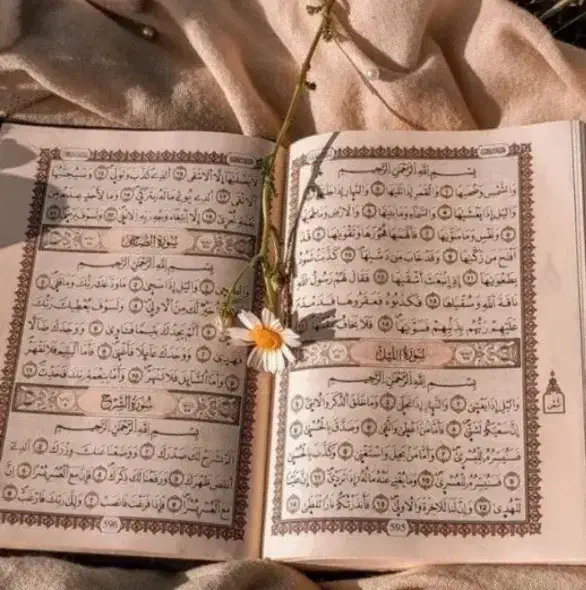 ختم قران خیرات ختم صلوات|فعالیت داوطلبانه|برخوار, |دیوار