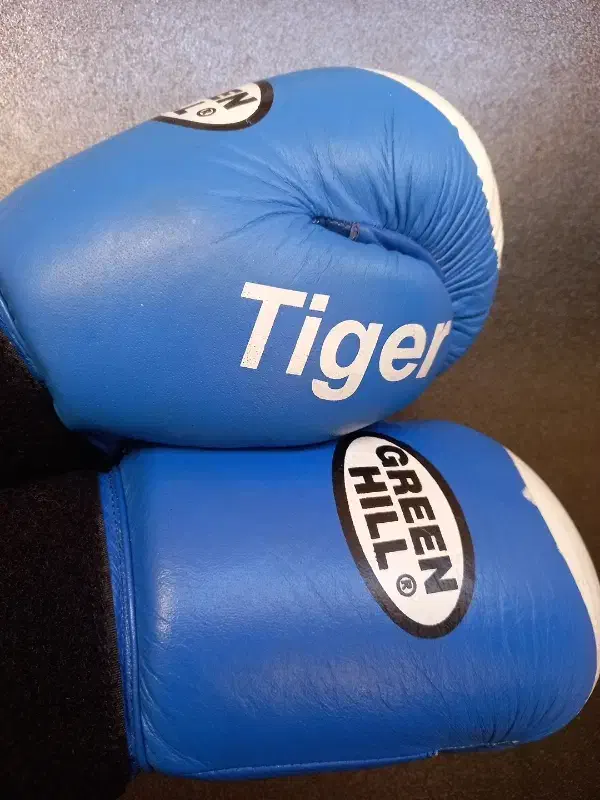 دستکش بوکس GREEN HILL|تجهیزات ورزشی|بروجرد, |دیوار