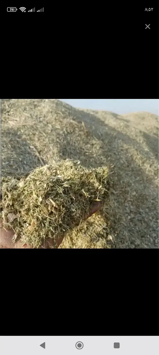 کاه لوبیا|لوازم جانبی حیوانات|حسن آباد, |دیوار