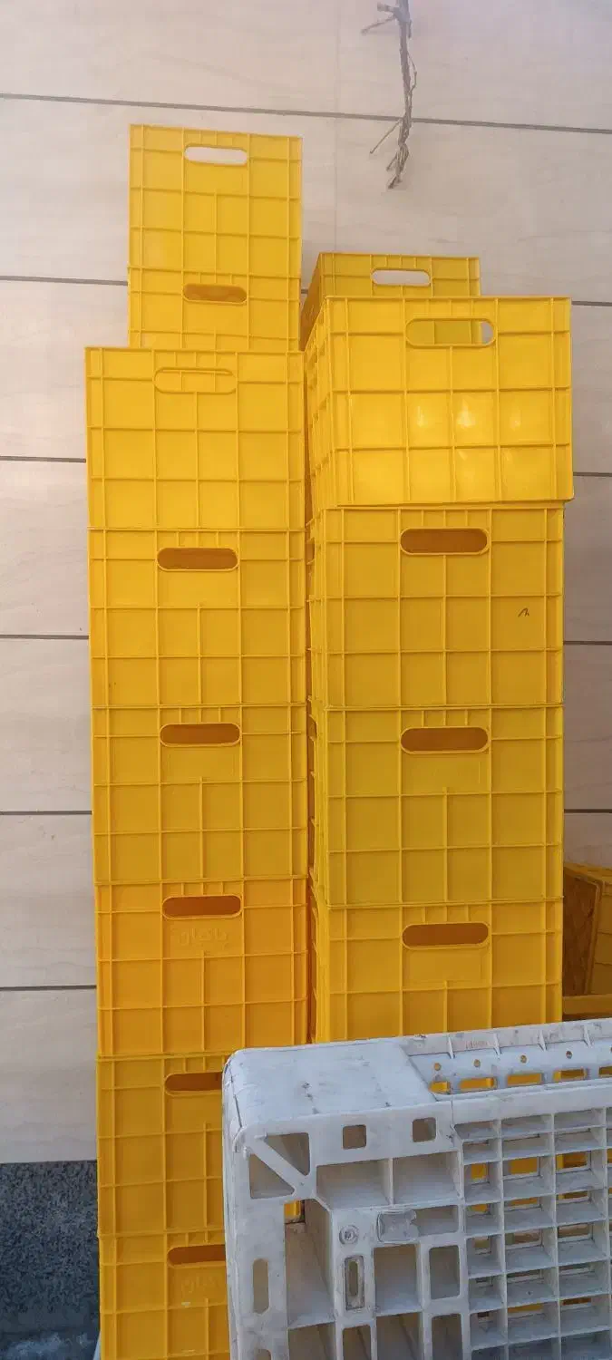 سبد بهداشتی لبنیات|لوازم نظافت|کرج, اسلامآباد|دیوار