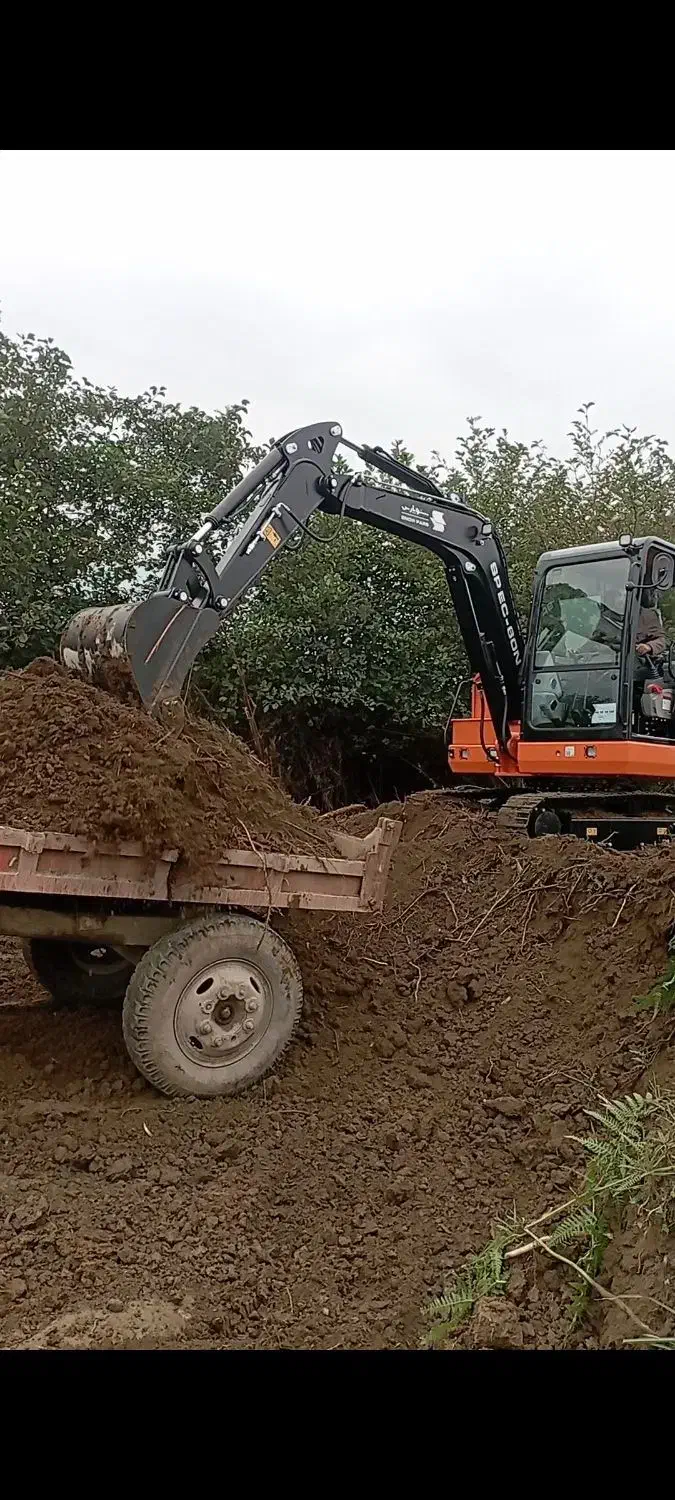 خدمات بیل زنجیری و بکهو|خدمات پیشه و مهارت|ماکلوان, |دیوار