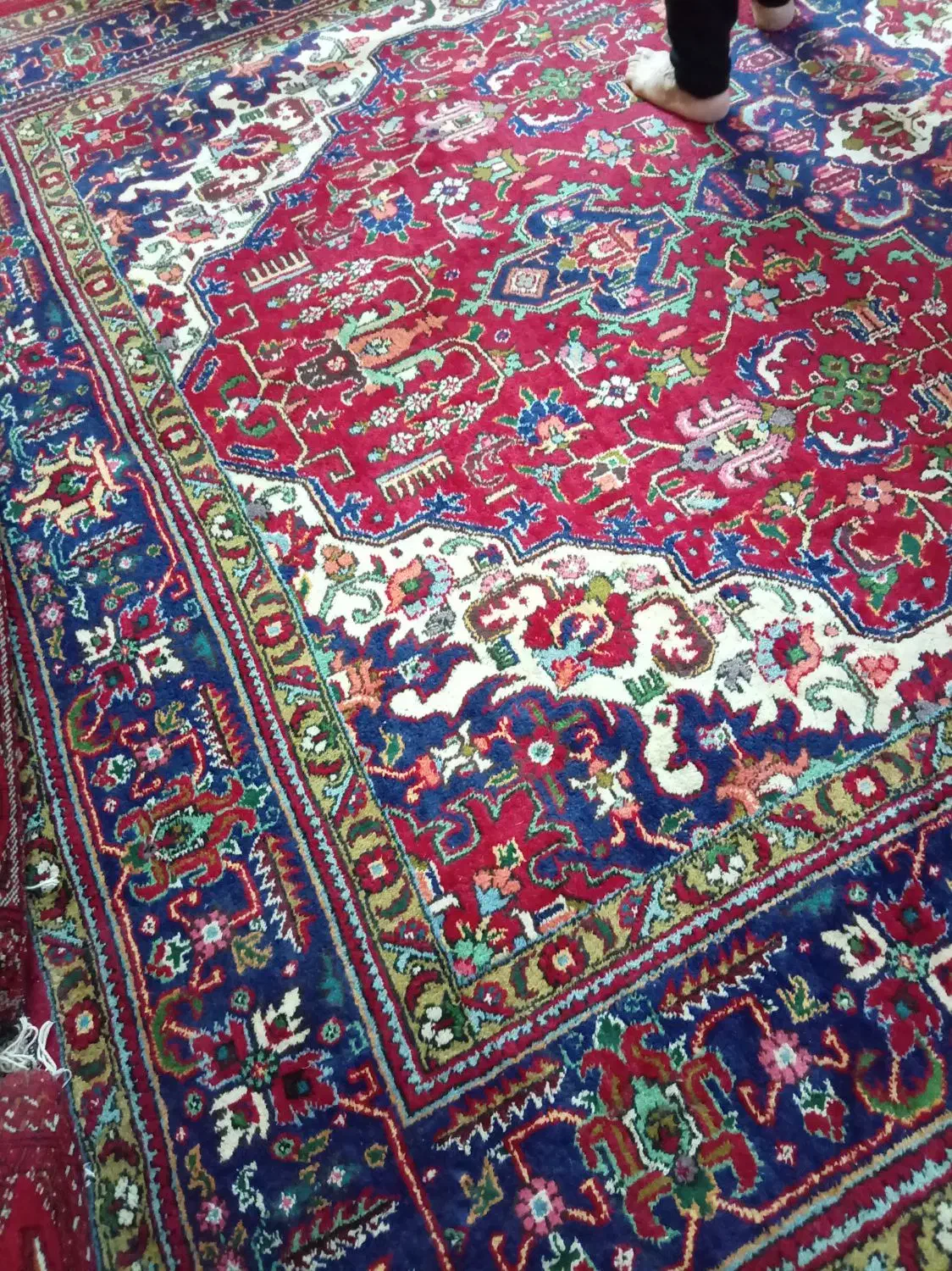 فرش دست باف|فرش|برازجان, |دیوار