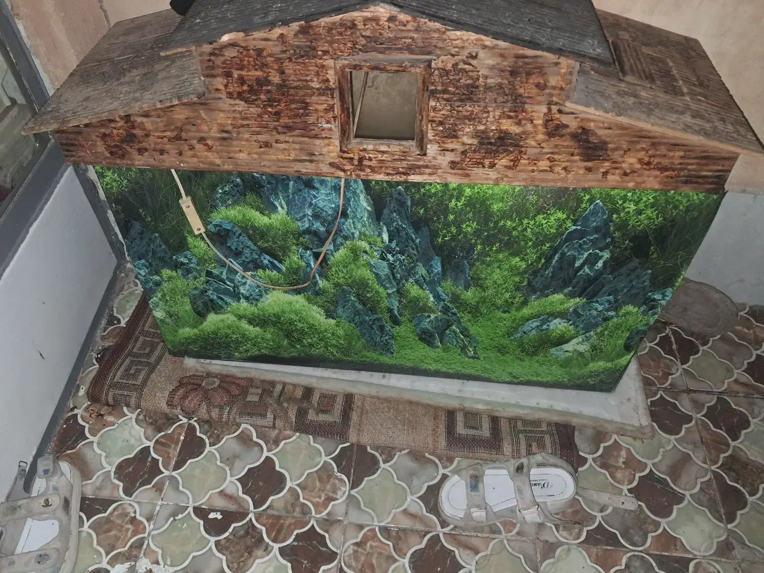 اکواریوم|ماهی|اصفهان, اصفهانک|دیوار