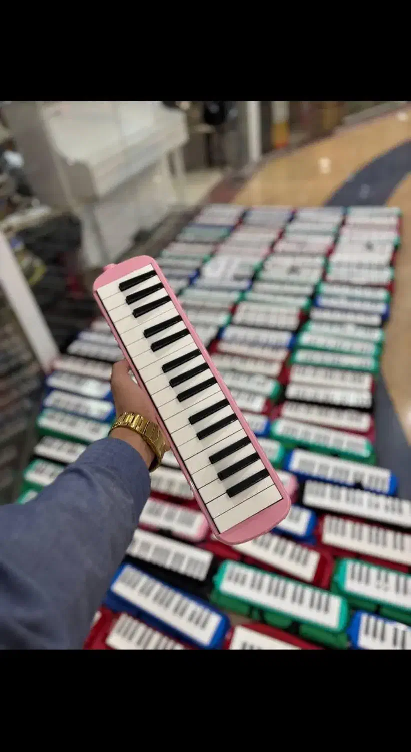 ملودیکا سوان|سازهای بادی|مشهد, طلاب|دیوار