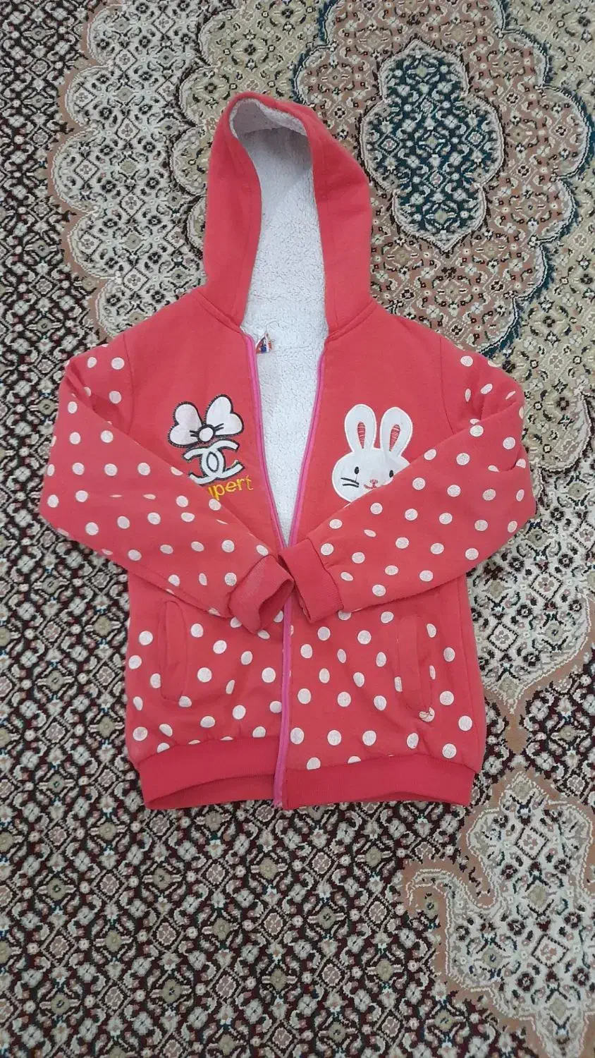 ژاکت|لباس|زنجان, |دیوار