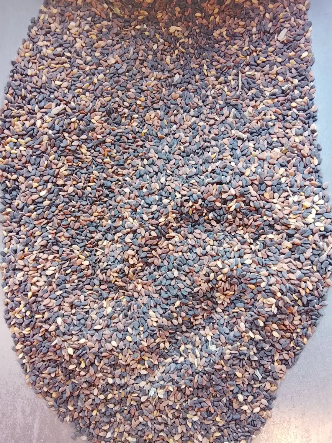 خاکشیر وکنجد|عمدهفروشی|نیشابور, شهرک اردسمان|دیوار