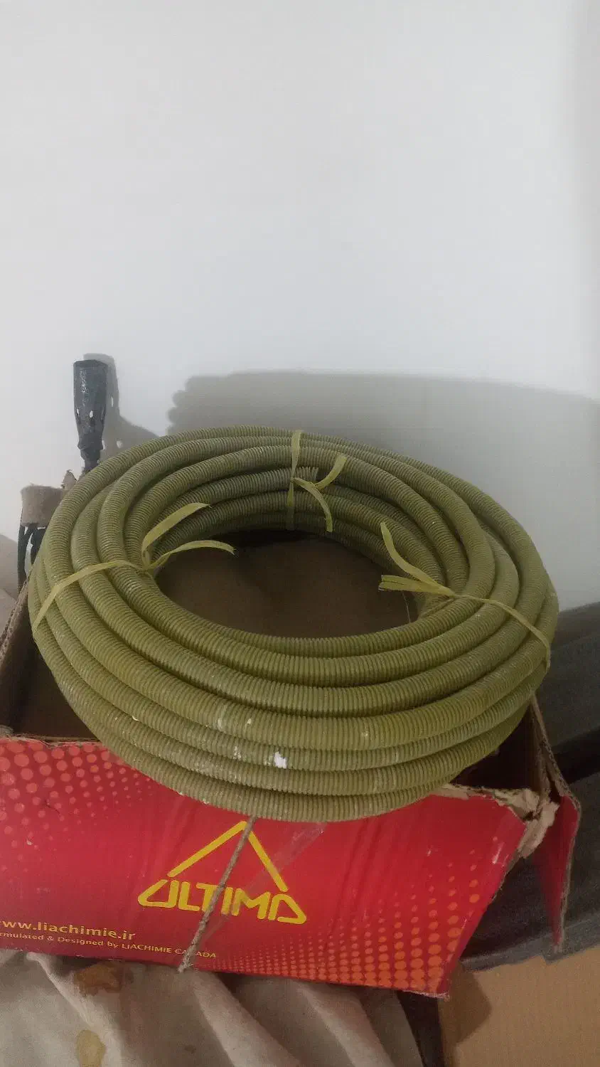 خرطومی|کیف، کفش، کمربند|مشهد, خواجه ربیع|دیوار