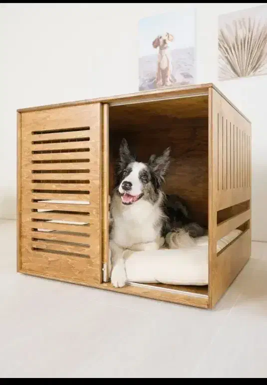 خانه سگ و گربه پت|لوازم جانبی حیوانات|مشهد, نوید|دیوار