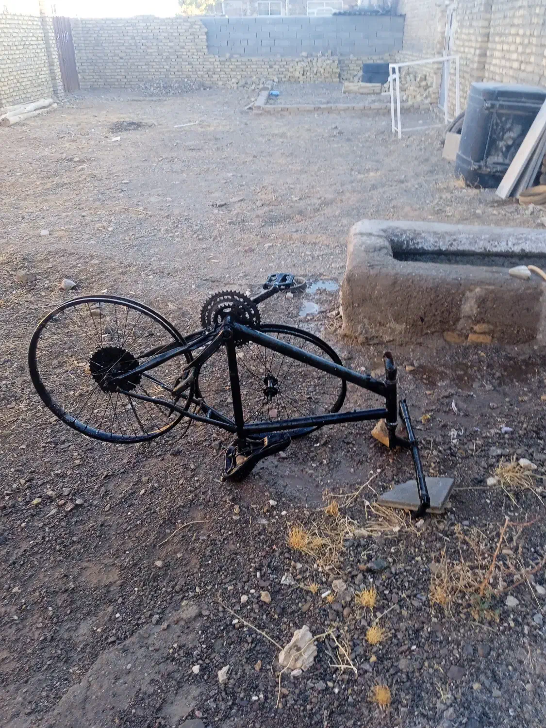 دوچرخه 24|دوچرخه، اسکیت، اسکوتر|تربت‌حیدریه, چهارراه خواف|دیوار