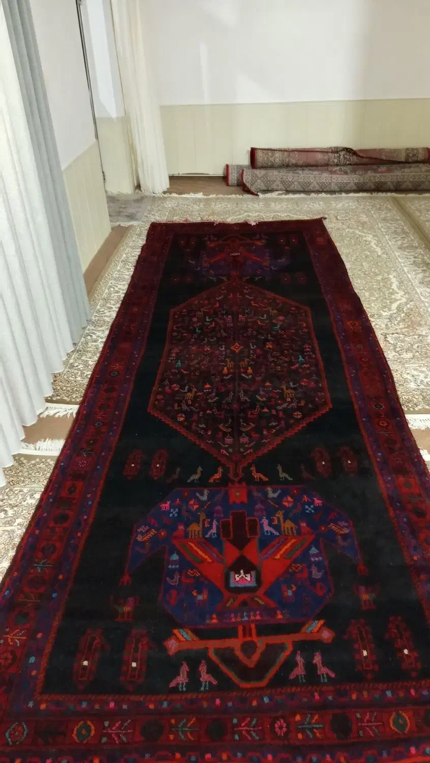 فرش دستباف|فرش|میاندوآب, |دیوار