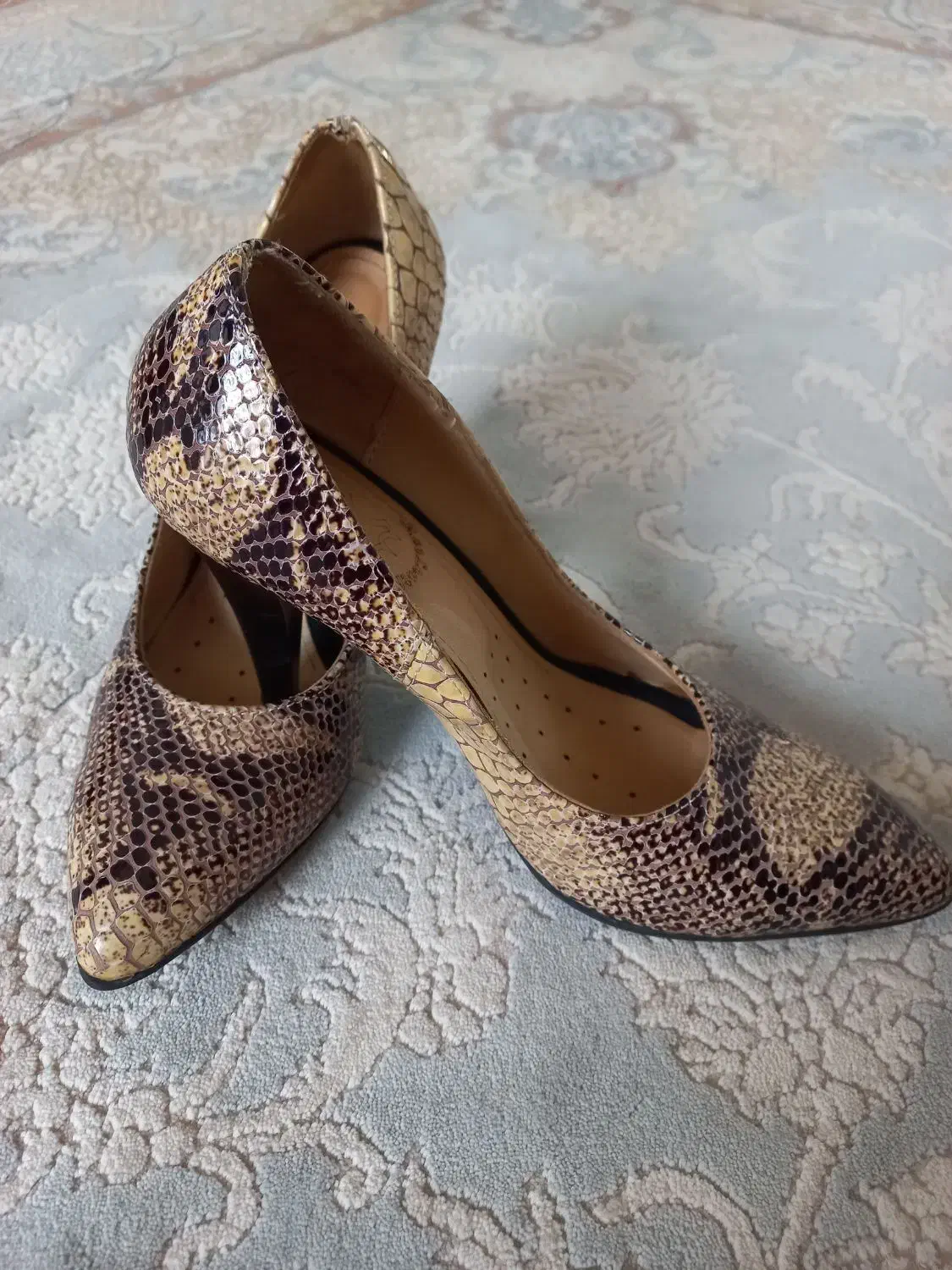 کفش مجلسی|کیف، کفش، کمربند|آق قلا, |دیوار