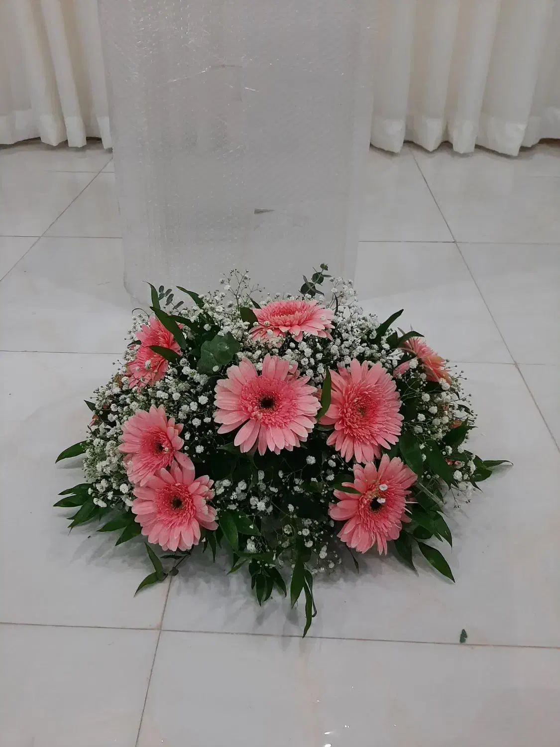 گل طبیعی|گل و گیاه طبیعی|رشت, عینک|دیوار