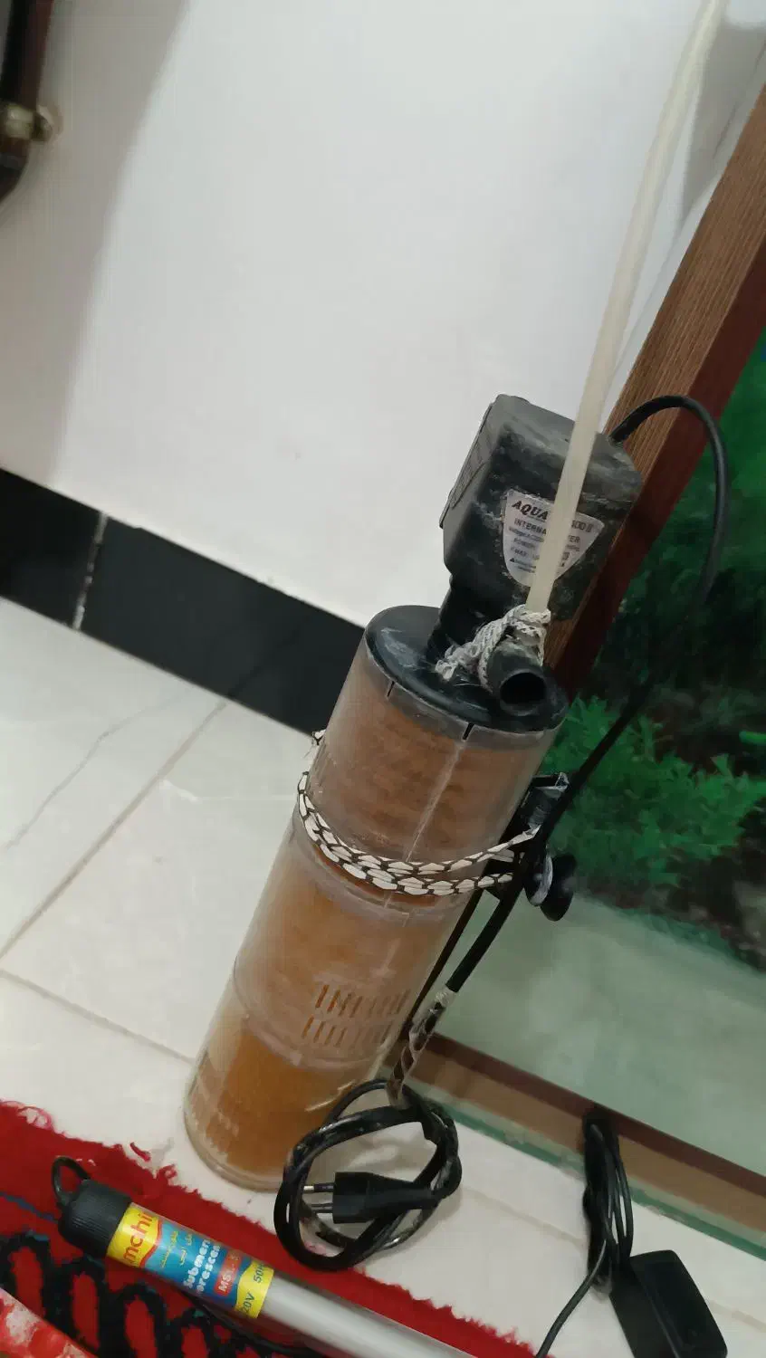 اکواریوم همراه با وسایل|ماهی|کوهدشت, |دیوار