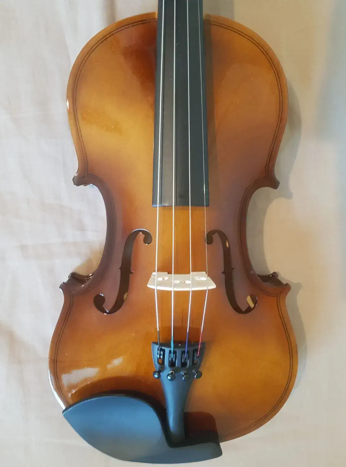 ویولن|ویولن|گرگان, |دیوار