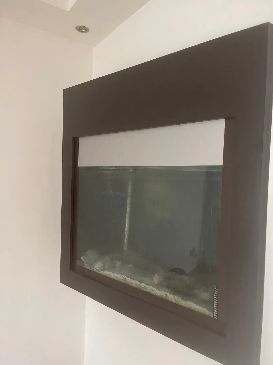 آکواریوم|ماهی|رشت, نظری|دیوار