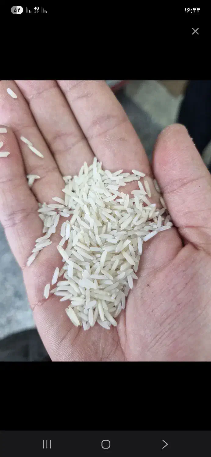 برنج فجر درجه یک معطر به شرط پخت|خوردنی و آشامیدنی|دوگنبدان, |دیوار